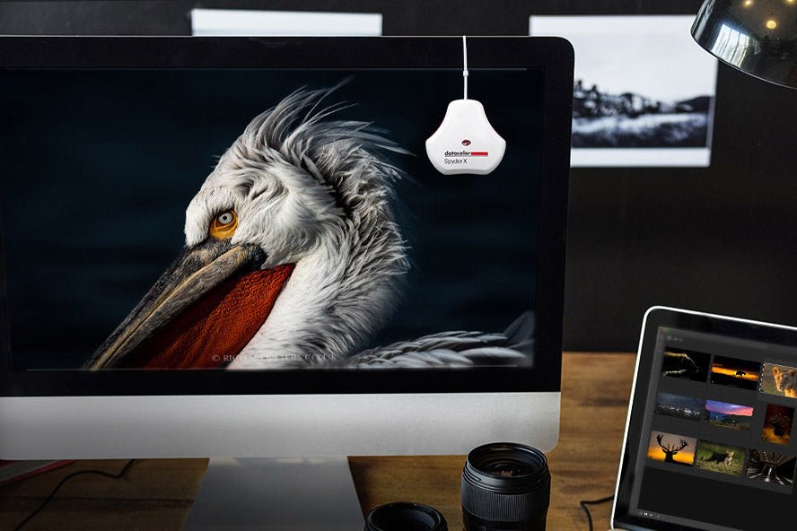 Cân màu màn hình "dạo" - Nên hay không nên?.