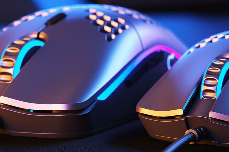 Những bí mật có thể bạn chưa biết về chuột Glorious.