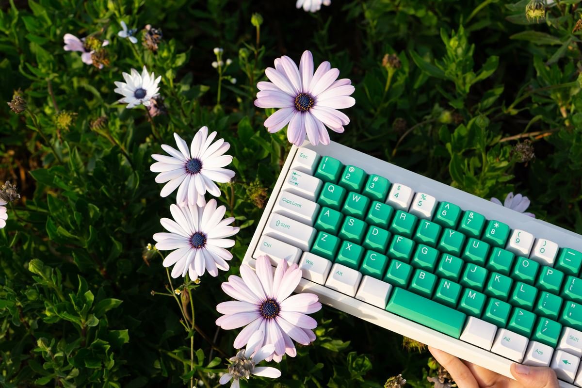 Những điều bạn sẽ tò mò về keycap Filco SA profile Doubleshot.