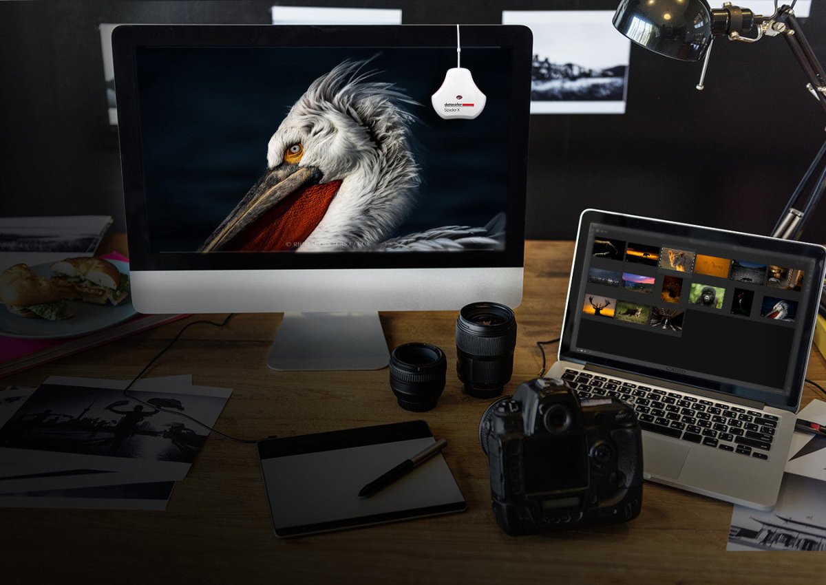 Phong Cách Xanh trở thành nhà phân phối độc quyền các thiết bị cân màu Spyder tại Việt Nam.