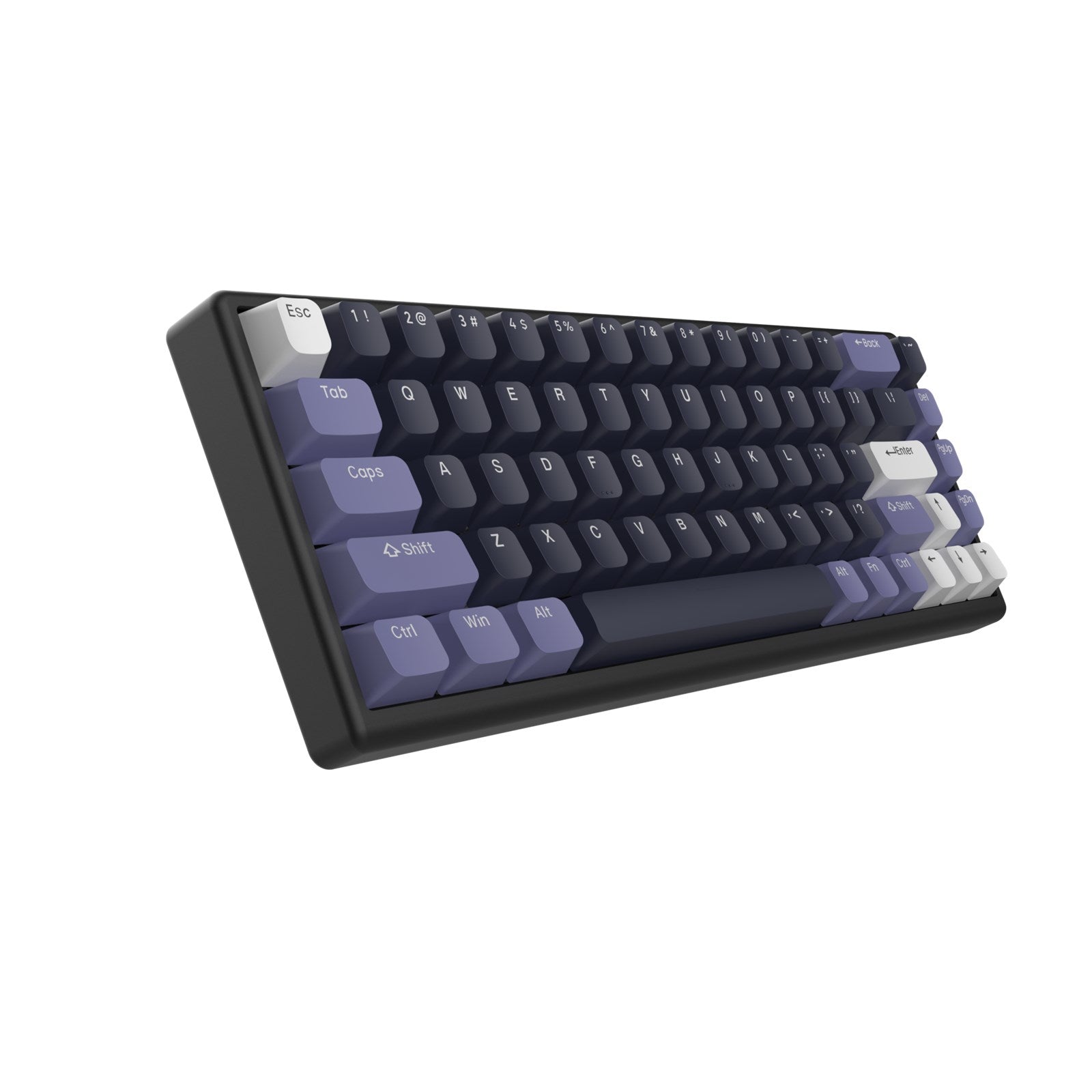 Arbiter Polar 65 – Bàn phím HE Rapid Trigger 65%