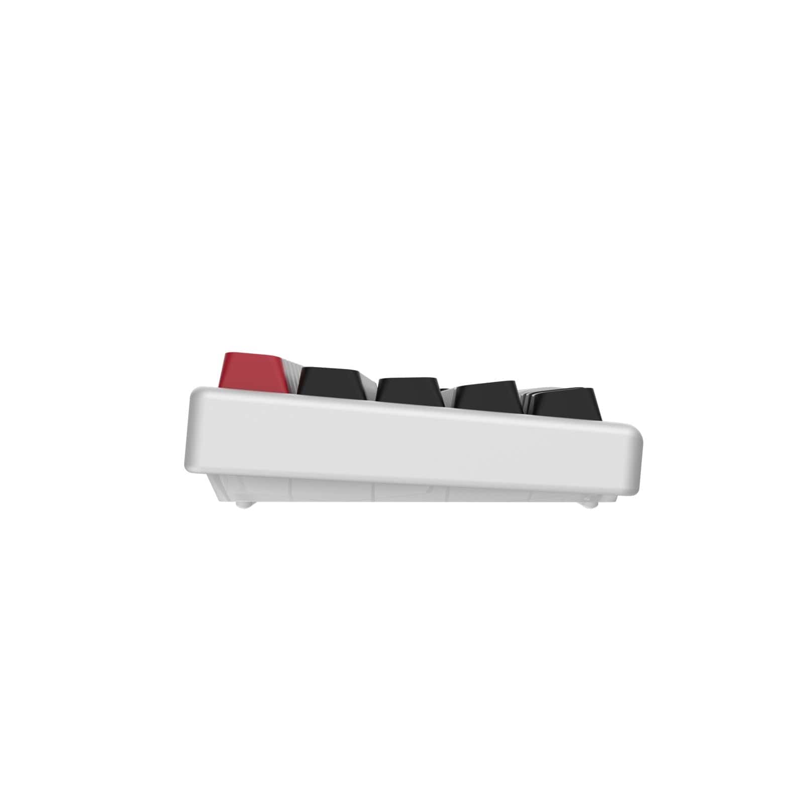 Bàn phím từ HE Arbiter Studio Polar 65 - Rapid Trigger.