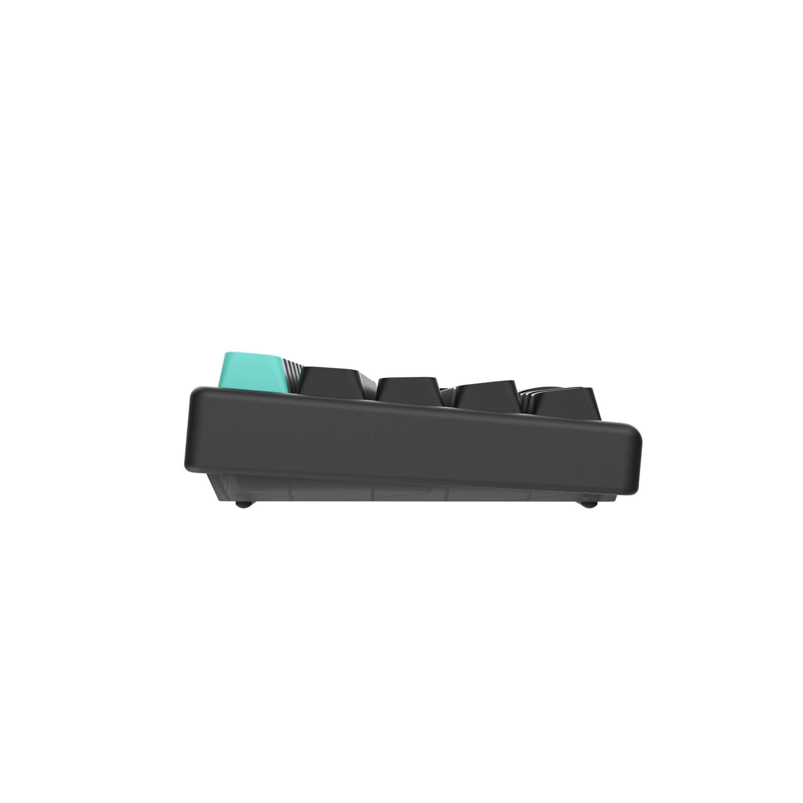 Bàn phím từ HE Arbiter Studio Polar 65 - Rapid Trigger.