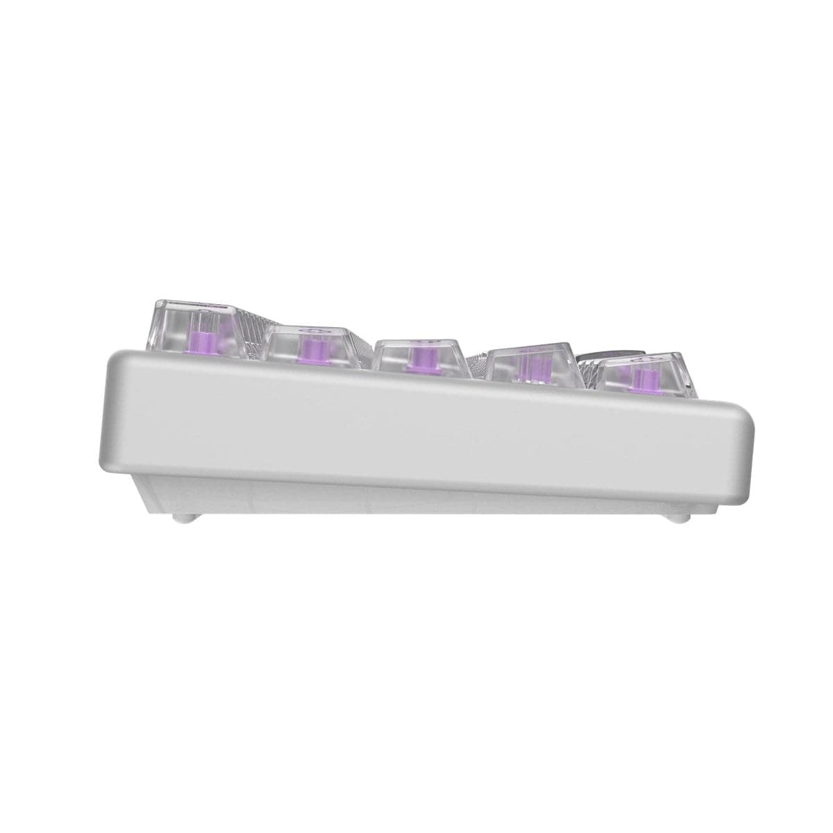 Bàn phím từ HE Arbiter Studio Polar 65 Phantom - Rapid Trigger.