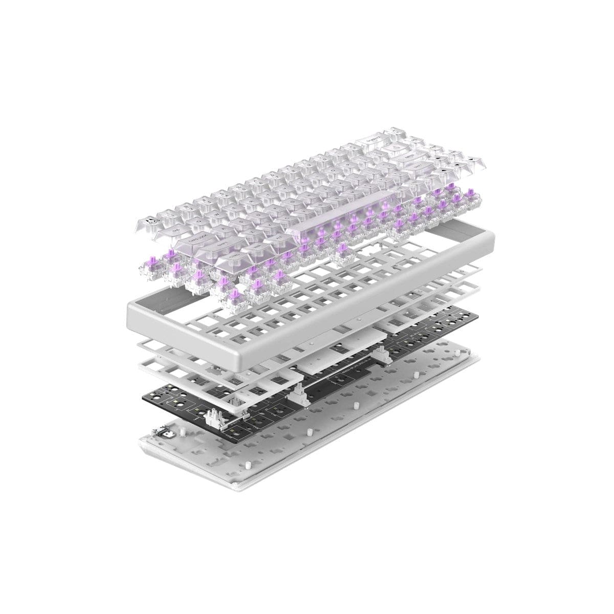 Bàn phím từ HE Arbiter Studio Polar 65 Phantom - Rapid Trigger.