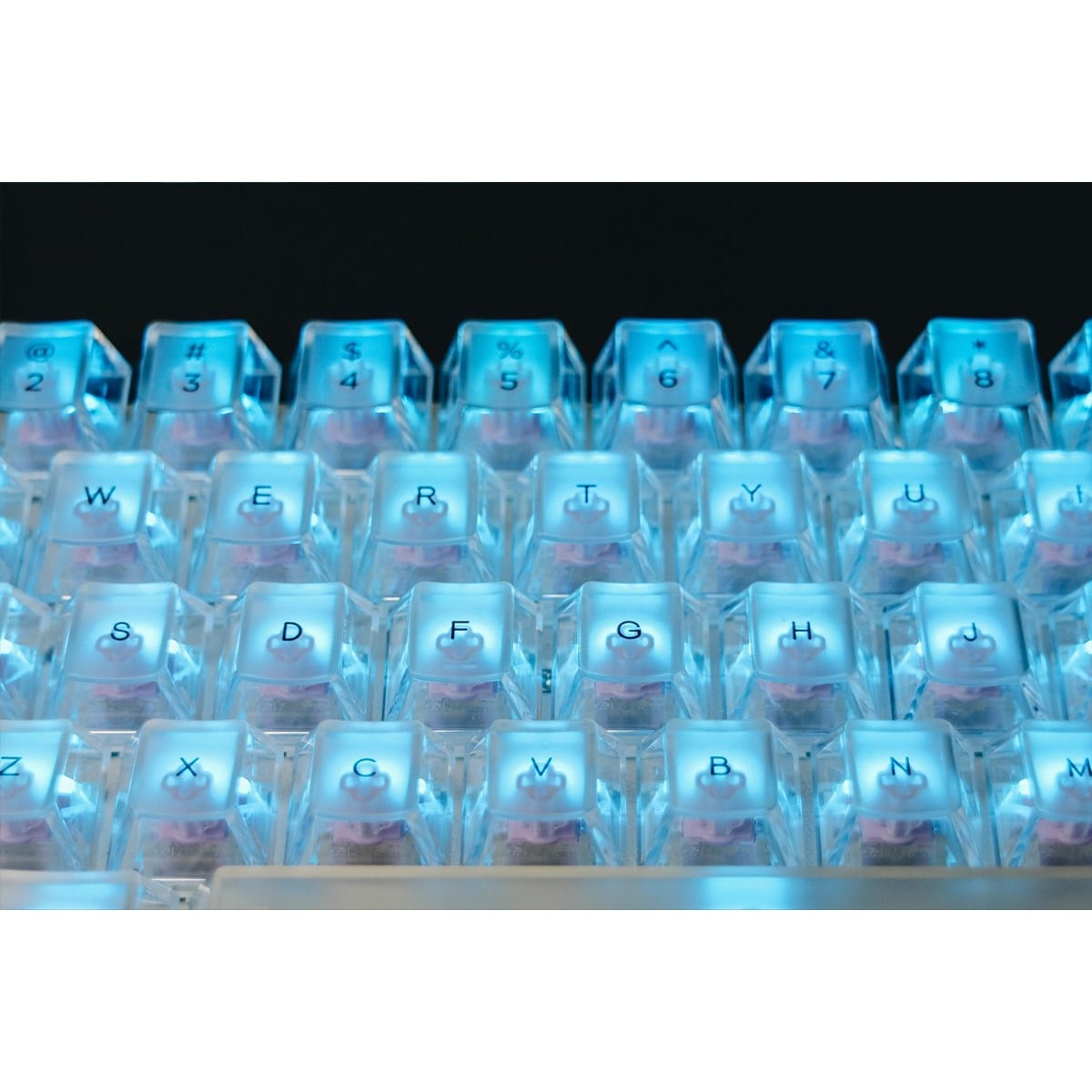 Bàn phím từ HE Arbiter Studio Polar 65 Phantom - Rapid Trigger.