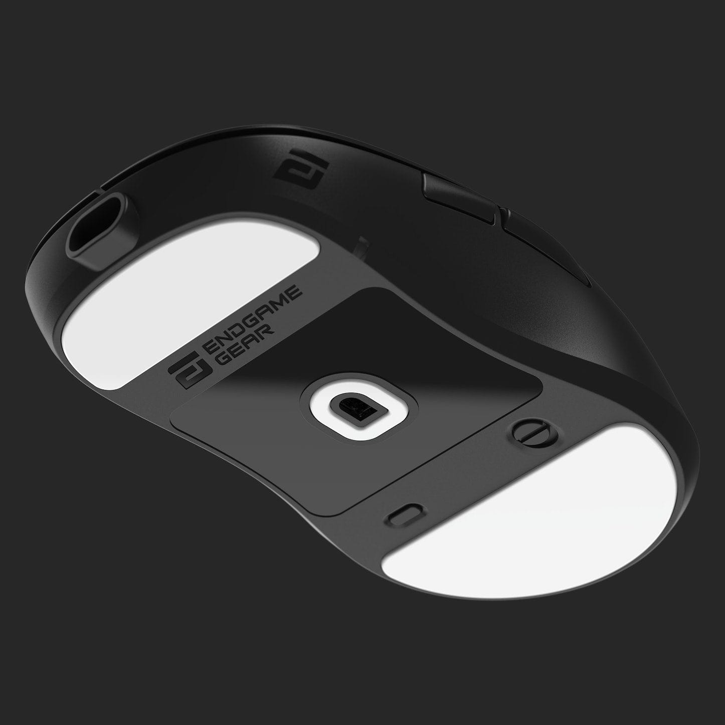 Chuột không dây Endgame Gear XM2we Wireless.