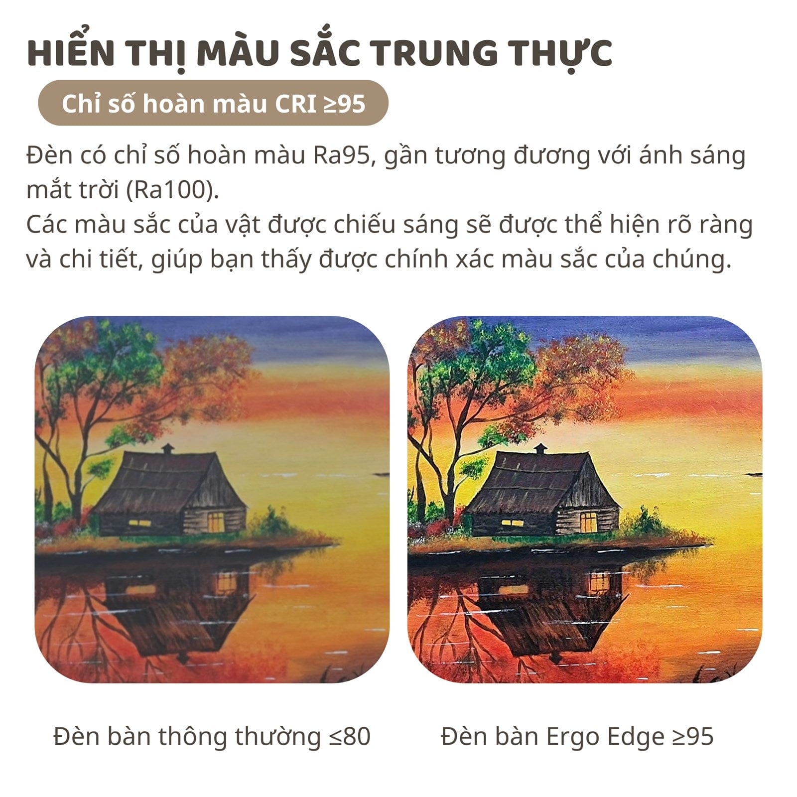 Đèn bàn bảo vệ mắt thông minh Ergo Edge