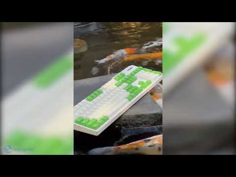 Bàn phím cơ Filco Majestouch Convertible 3 Matcha - Fullsize.