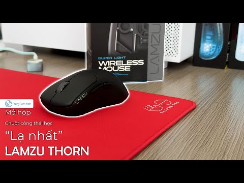 Chuột không dây siêu nhẹ Lamzu Thorn - Hỗ trợ 8KHz.