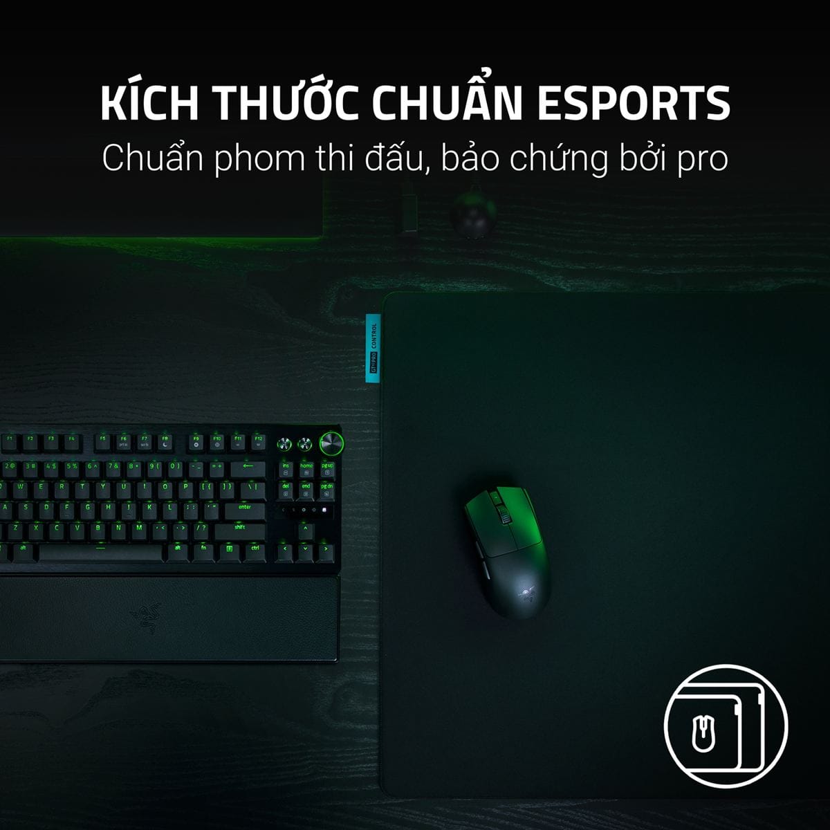 Razer Gigantus V2 Pro L Control - Lót chuột chơi game FPS