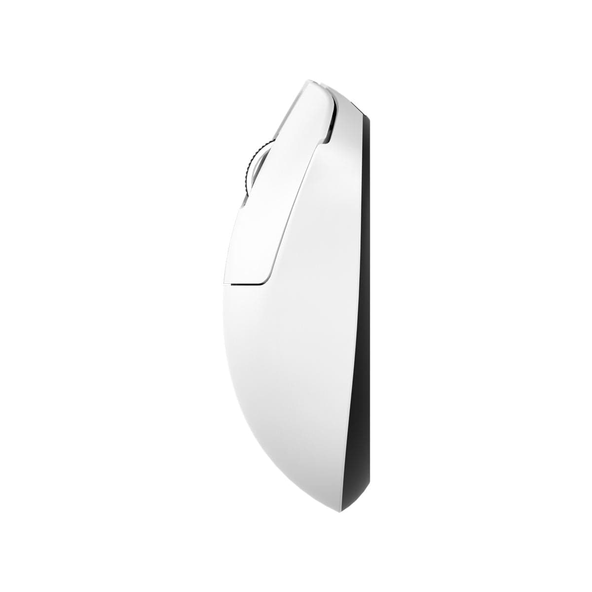 Teevolution Terra - Chuột không dây siêu nhẹ 49g, 8KHz