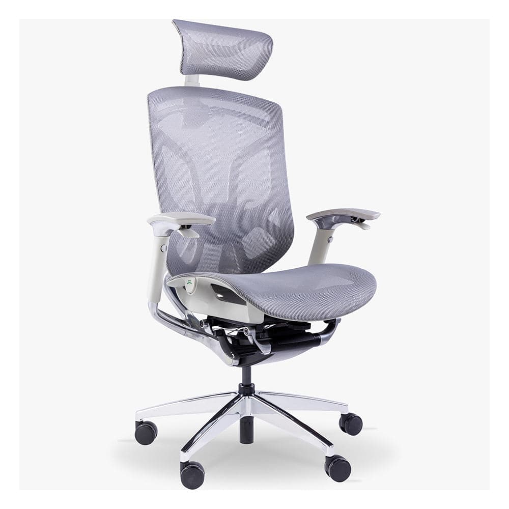 Ghế công thái học GTChair Dvary Butterfly - Hàng chính hãng