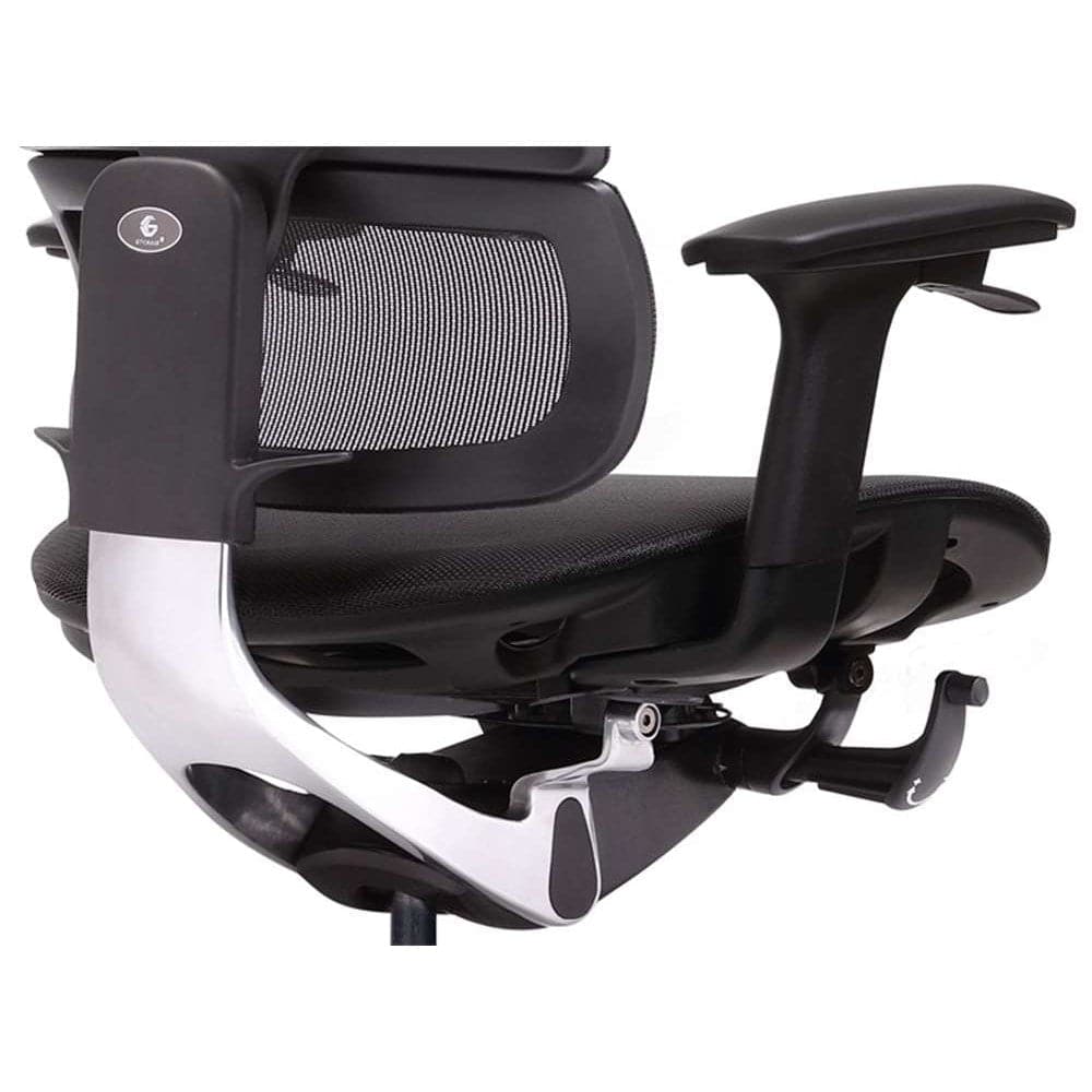 Ghế công thái học GTChair I-see X - Hàng chính hãng