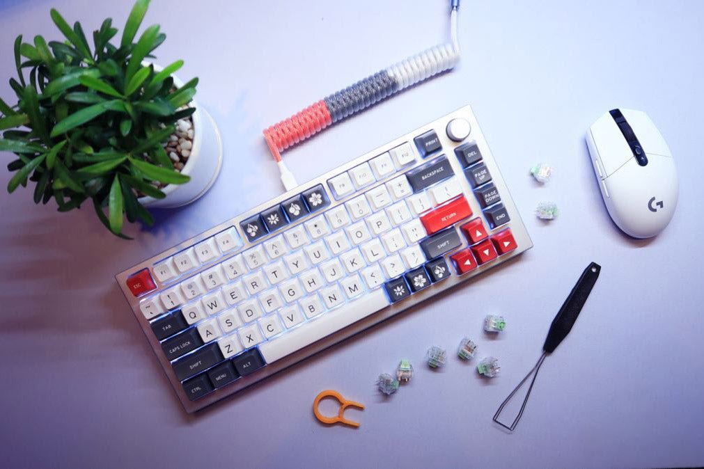 Bàn phím cơ custom là gì? Bàn phím cơ custom khác gì so với bàn phím cơ bình thường?.