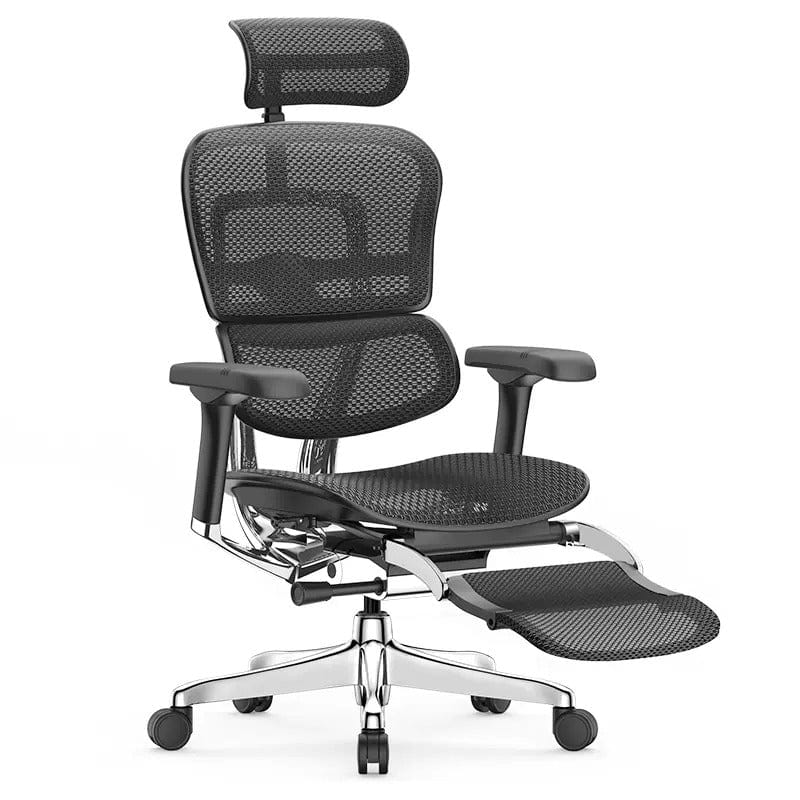 Ghế công thái học Ergohuman Elite 2 - Hàng chính hãng