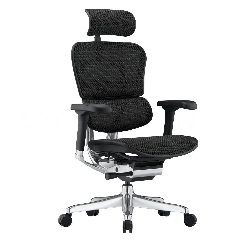 Ghế công thái học Ergohuman Elite 2 - Hàng chính hãng