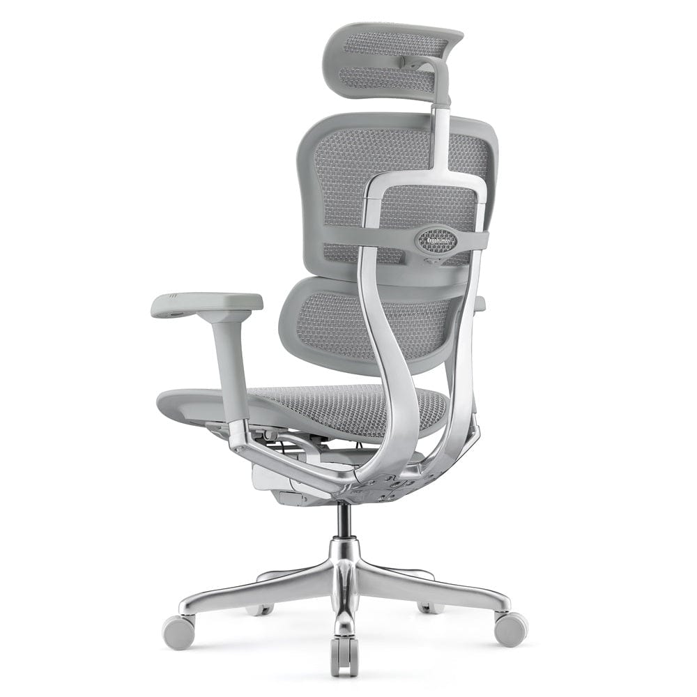 Ghế công thái học Ergohuman Elite 2 - Hàng chính hãng