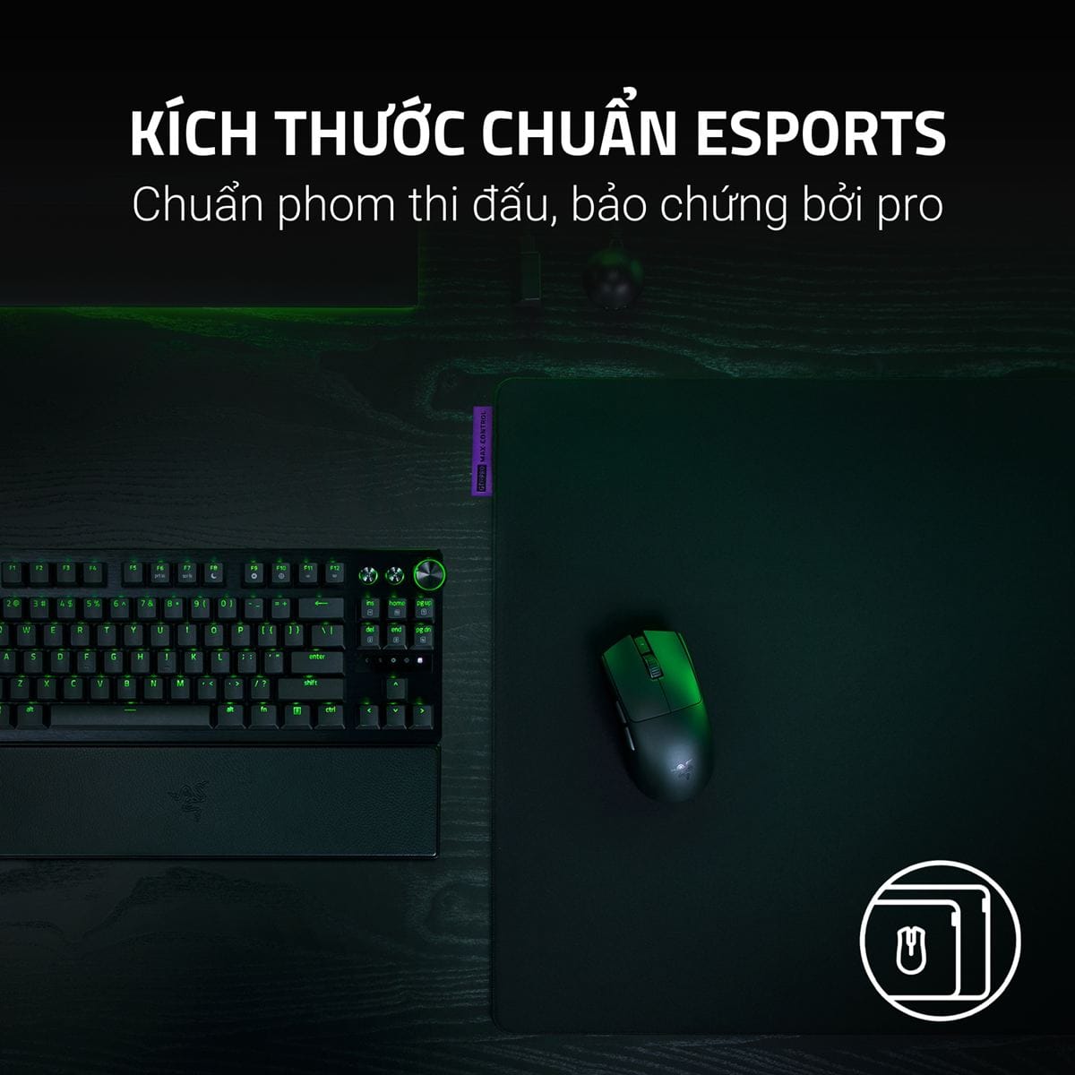 Razer Gigantus V2 Pro L Max Control - Lót chuột chơi game FPS