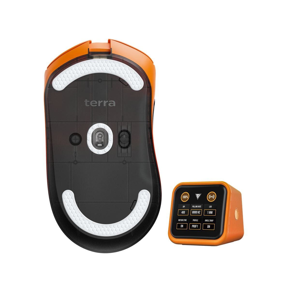 Teevolution Terra Pro – Chuột công thái học