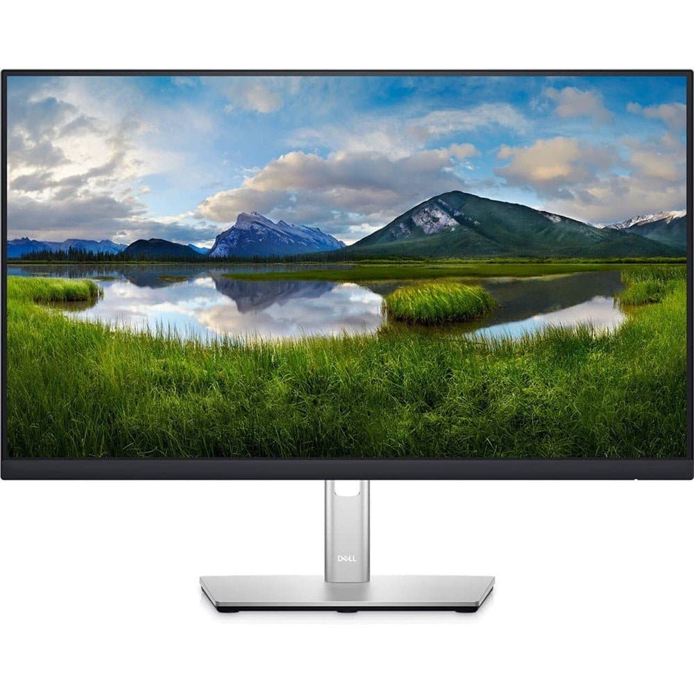 Màn hình Dell 24" P2422H.