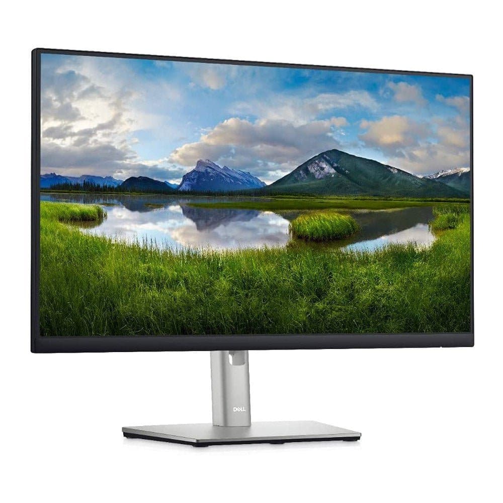 Màn hình Dell 24" P2422H.